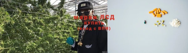спайс Аркадак